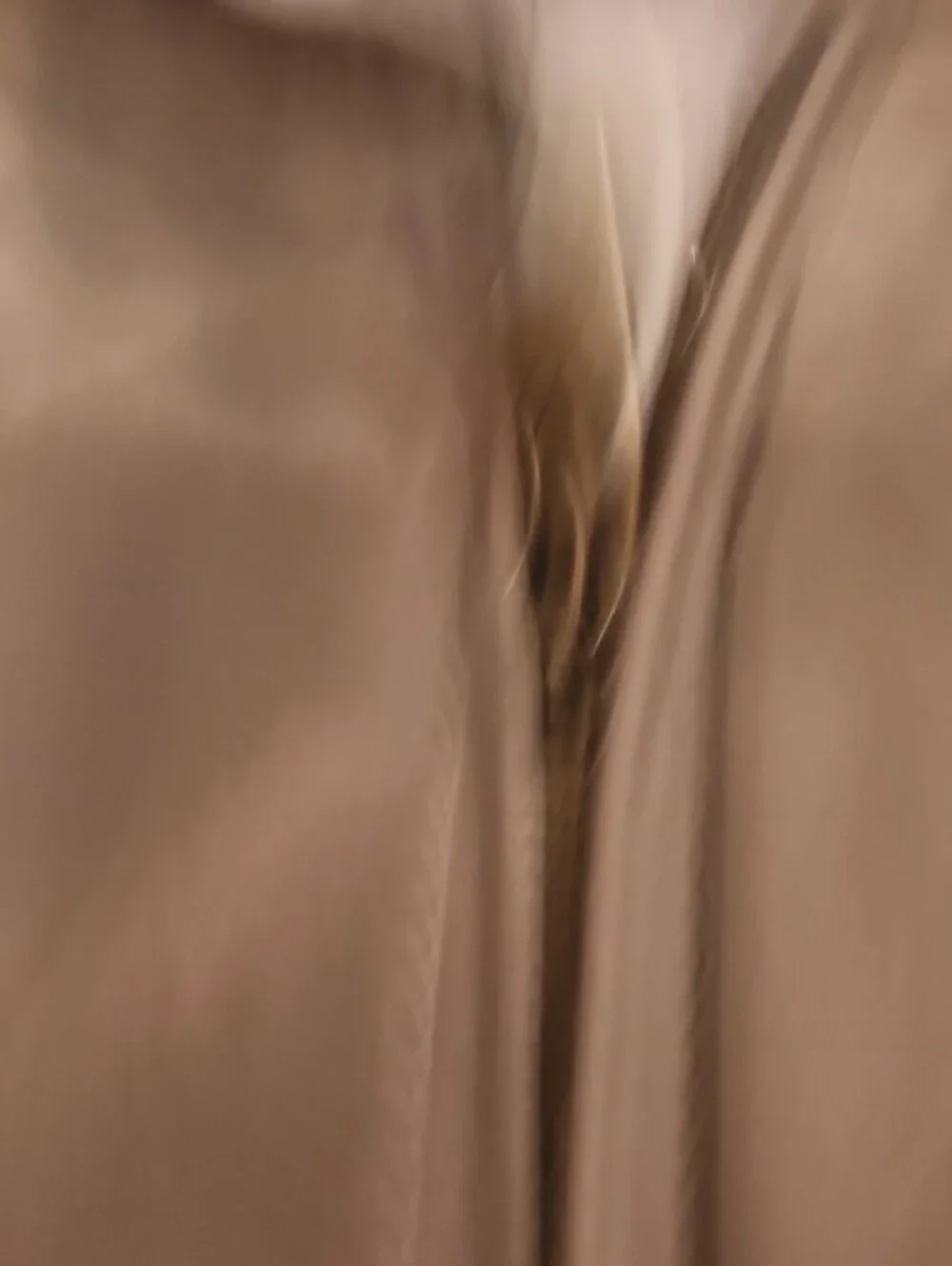 Vtg tan Rainforest full-zip lightweight jacket